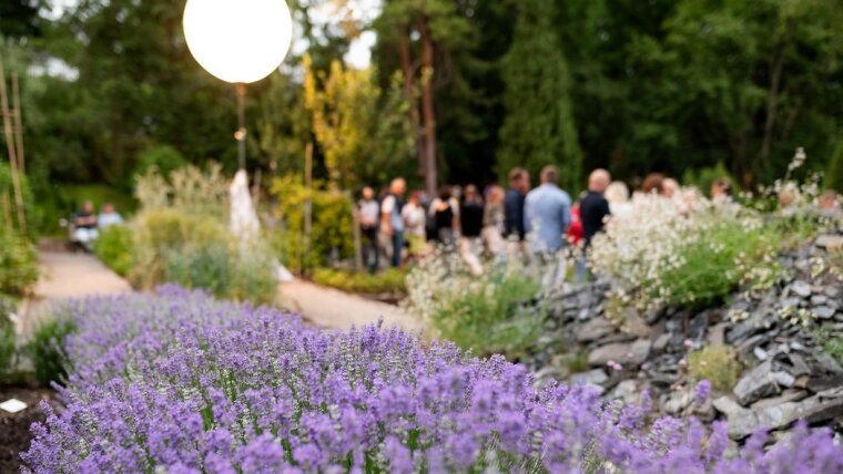 Impressionen vom Sommerfest
